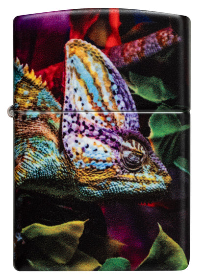 Chameleon Design