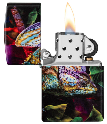 Chameleon Design