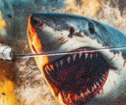 Shark Bite Design