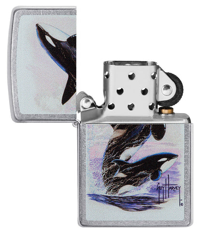 Zippo lighter front view chrome open with coloured illustration of two killer whales drawn by Guy Harvey
