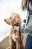 Lifestyle picture of 12-Hour Black Refillable Hand Warmer