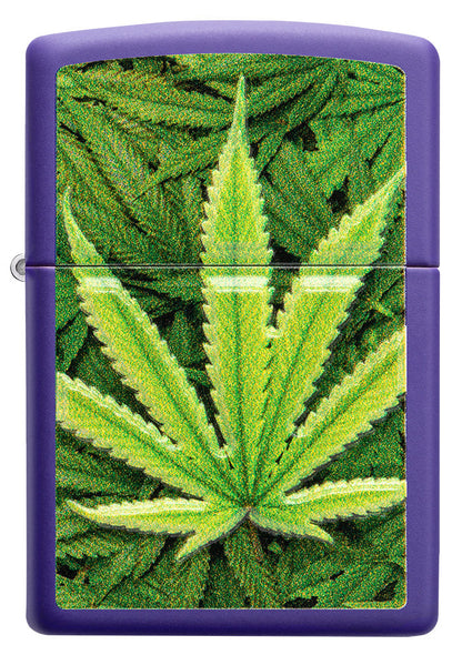 Zippo lighter front view purple matt with image of cannabis plants