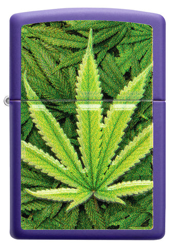 Zippo lighter front view purple matt with image of cannabis plants
