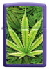 Zippo lighter front view purple matt with image of cannabis plants